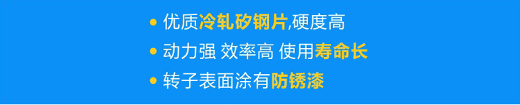 使用優(yōu)質(zhì)冷軋矽鋼片，硬度高；轉(zhuǎn)子經(jīng)高頻淬火，動(dòng)力強(qiáng) 效率高 壽命長；轉(zhuǎn)子表面涂有防銹漆，更耐用！