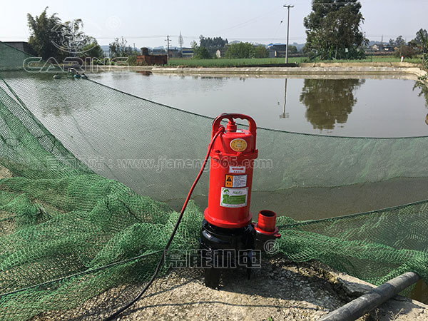 山東陳先生：魚塘清淤用雙刀切割泵耐用又給力！